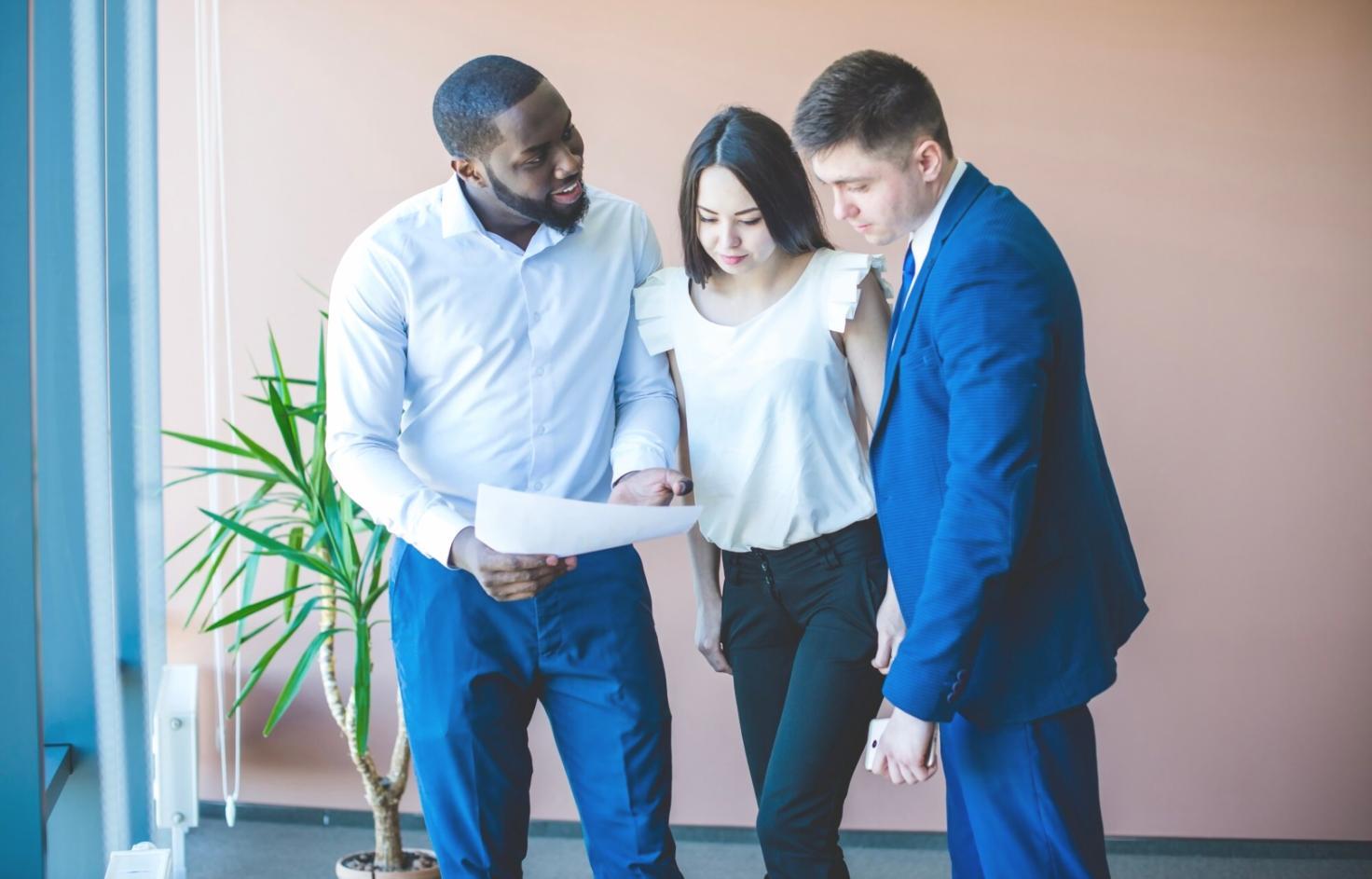 Environnement de travail calme avec ordinateur et plantes